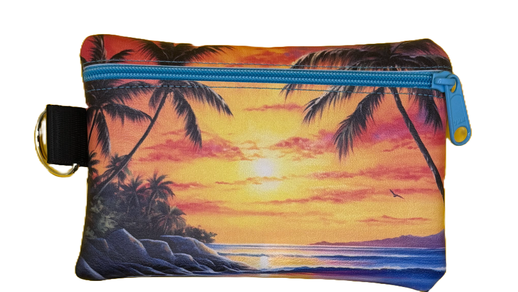 4X6 Vinyl Zipper Beach Bag