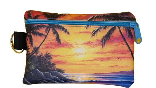 4X6 Vinyl Zipper Beach Bag